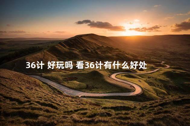 36计 好玩吗 看36计有什么好处